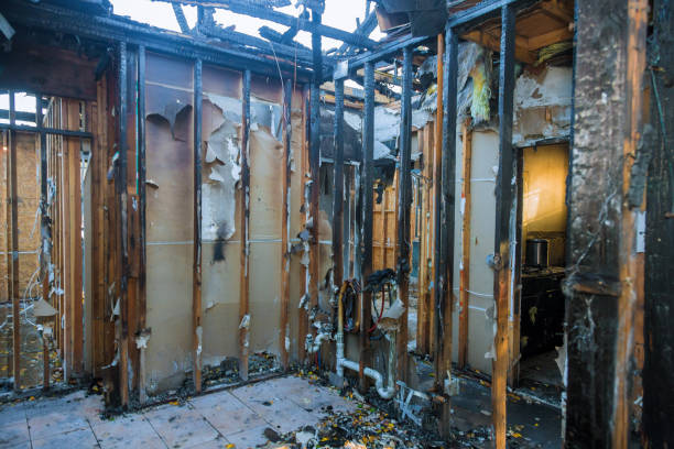 Professional Fire Damage Repair technician working in Wadsworth, IL